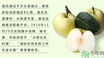 牛心果怎么吃？牛心果的功效和作用