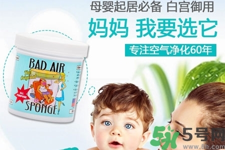 美國bad air sponge空氣凈化劑多少錢？
