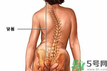 僵直性脊椎炎的癥狀有哪些？怎樣預(yù)防僵直性脊椎炎？