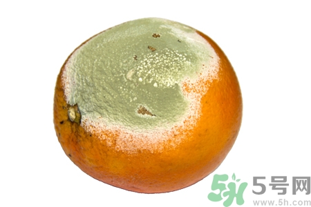 水果發(fā)霉了可以吃嗎？發(fā)霉的水果對人體有什么危害？