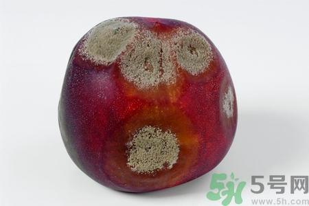水果發(fā)霉了可以吃嗎？發(fā)霉的水果對人體有什么危害？