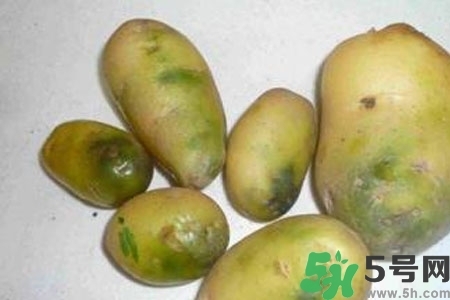 土豆發(fā)綠還能吃嗎？土豆發(fā)綠皮削皮后能吃嗎？