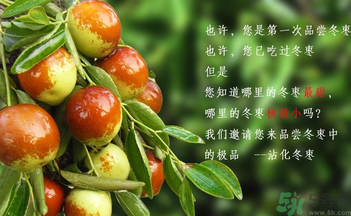 晚上吃棗子會(huì)胖嗎？晚上吃新鮮棗子會(huì)胖嗎？