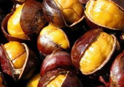 孕婦吃生板栗好還是熟的好？孕婦可以吃熟板栗嗎？