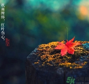 秋分做什么運動好？秋分運動注意事項