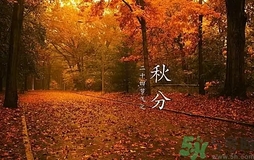 秋分做什么運動好？秋分運動注意事項