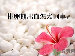 排卵期不懷孕什么原因？排卵期出血