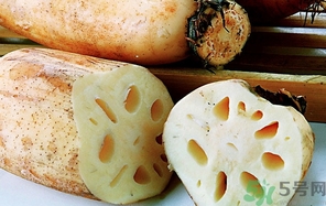 蓮藕可以放冰箱保存嗎?蓮藕能放冰箱保存多久? 蓮藕可以放冰箱保存嗎?蓮藕能放冰箱保存多久?