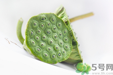 帶殼新鮮蓮子怎么吃?吃新鮮蓮子有什么好處 帶殼新鮮蓮子怎么吃?吃新鮮蓮子有什么好處