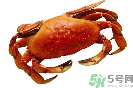 10月份吃螃蟹好嗎？10月份吃什么螃蟹？