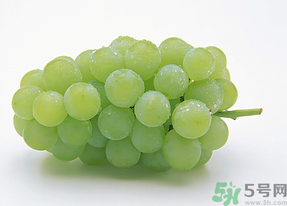 新鮮葡萄能放冰箱嗎？新鮮葡萄的保存方法
