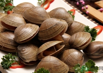 蜆子煮多長時間？蜆子怎么煮？
