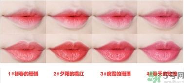 悅詩(shī)風(fēng)吟水韻凝采唇膏價(jià)格 悅詩(shī)風(fēng)吟水韻凝采唇膏怎么用？