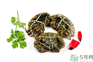 綁好的大閘蟹怎么清洗?綁好的螃蟹怎么洗? 綁好的大閘蟹怎么清洗?綁好的螃蟹怎么洗?