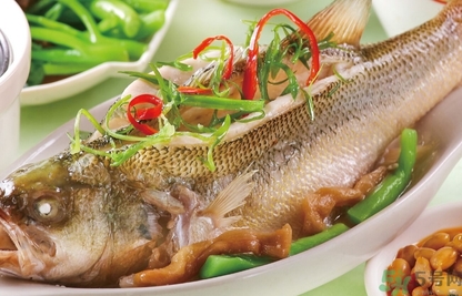 鱸魚是發(fā)物嗎？手術(shù)后可以吃鱸魚嗎？