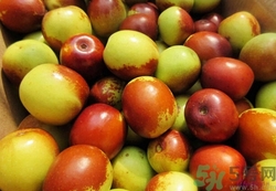 吃了冬棗核有事嗎?冬棗核咬破了有毒嗎 吃了冬棗核有事嗎?冬棗核咬破了有毒嗎