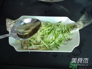 鱸魚蒸多長時間？鱸魚怎么蒸？