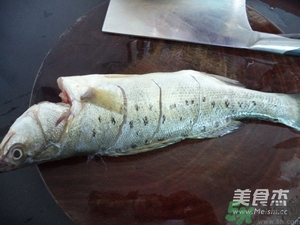 鱸魚蒸多長時間？鱸魚怎么蒸？