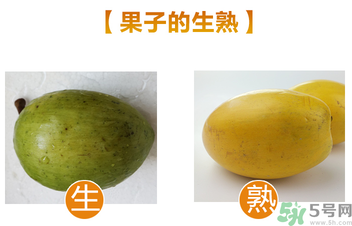 蛋黃果多少錢一斤？蛋黃果什么時候成熟？