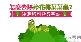 西蘭花里有蟲(chóng)子怎么辦？花椰菜里面好多蟲(chóng)怎么辦？