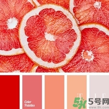 西柚色口紅的牌子哪款好？西柚色口紅有哪些牌子