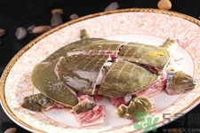 甲魚怎么殺？甲魚怎么處理？