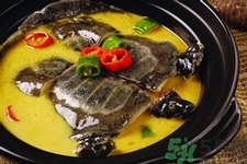 甲魚怎么吃最有營(yíng)養(yǎng)？甲魚怎么吃最補(bǔ)身體？