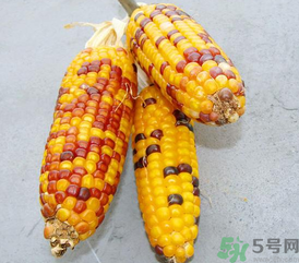 彩色玉米是轉(zhuǎn)基因嗎？彩色玉米能吃嗎？
