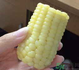 玉米沒煮熟能吃嗎？沒煮熟的玉米能吃嗎？