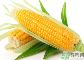 新鮮玉米怎么保存？鮮玉米怎么保存？