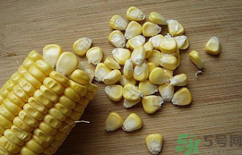 玉米粒可以釣什么魚？玉米粒釣魚方法