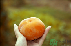 凍柿子和酸奶可以一起吃嗎？?jī)鍪磷雍退崮虝?huì)中毒嗎？