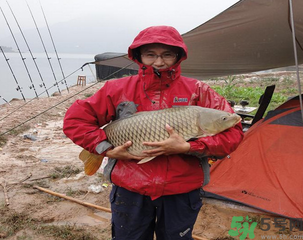 十月份可以釣魚(yú)嗎？十月份釣魚(yú)用什么餌料？