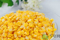 秋天釣魚用什么餌料？秋季釣魚用什么餌料好？
