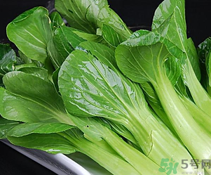 青菜可以放冰箱嗎？青菜能放冰箱保鮮嗎？