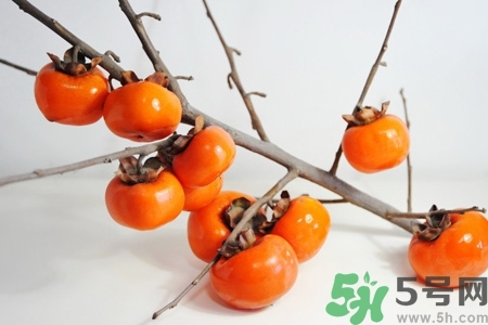 吃脆柿子有什么好處？脆柿子吃多了有什么壞處？