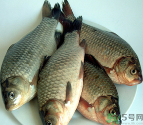 秋天釣鯽魚用什么餌料？秋天釣鯽魚用什么味餌？