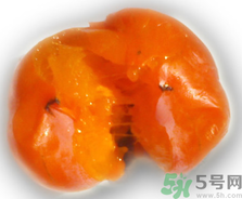 新鮮柿子皮可以吃嗎？吃了柿子皮怎么辦？