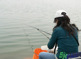 秋天釣鯉魚用什么味型？秋季釣鯉魚餌料味型