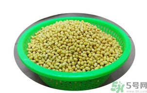 新鮮黃豆怎么保存？新鮮黃豆米如何保存？