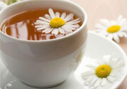 寒露喝什么茶好？寒露喝什么茶最養(yǎng)生？