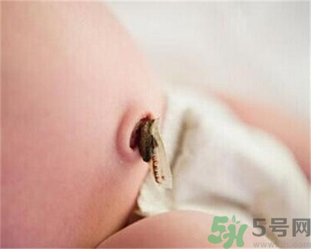 新生兒肚臍怎么護(hù)理？新生兒肚臍什么時(shí)候掉？