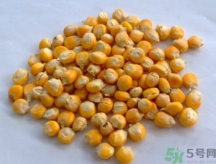 玉米用什么泡釣魚好？玉米怎么泡好釣魚？