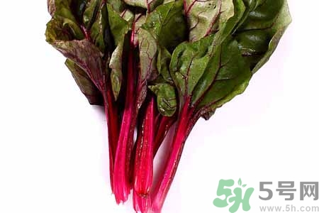 甜菜是甜的嗎？甜菜到底是不是甜的？