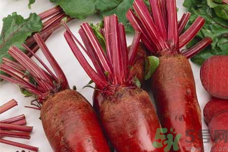 甜菜是甜的嗎？甜菜到底是不是甜的？