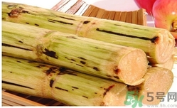 甘蔗過夜了能吃嗎？隔夜的甘蔗可以吃嗎？