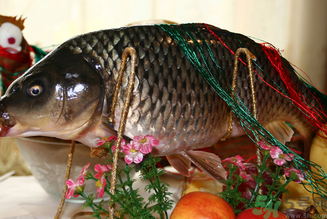 鯉魚死了還能吃嗎？鯉魚死了多久不能吃？