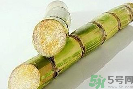血糖高的人能吃甘蔗嗎？血糖偏高可以吃甘蔗嗎？