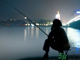 十月份還能夜釣嗎？十月份適合夜釣嗎？