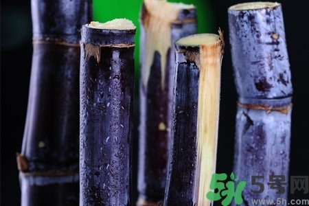 甘蔗一天吃多少最好？甘蔗能每天都吃嗎？